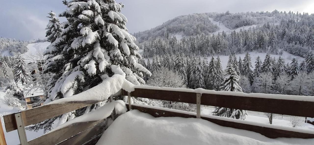 Les Oursons Du Hohneck Apartamento La Bresse Exterior foto